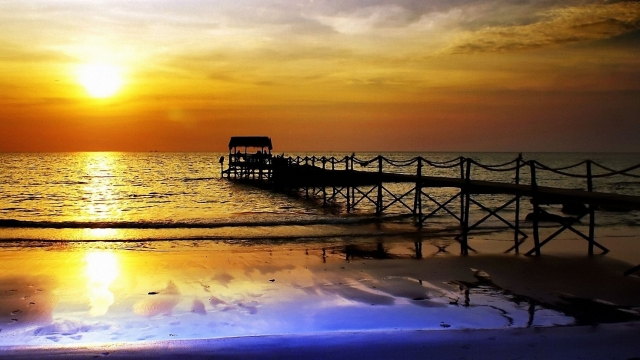 开元体育官网入口登录弹跳训练篮球器材有哪些