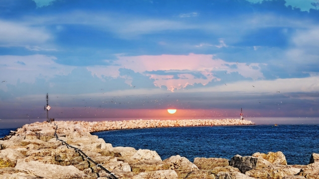 室内健身弗兰克