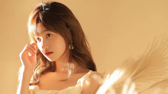 开元体育中国企业篮球投篮的训练器材有