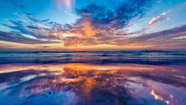 田径器材辅助器材