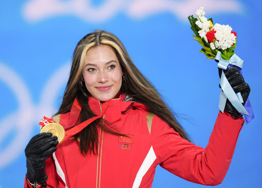 开元体育平台健身器材大全及解析